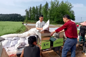 碧江滑石乡：白水贡米机械化育苗忙