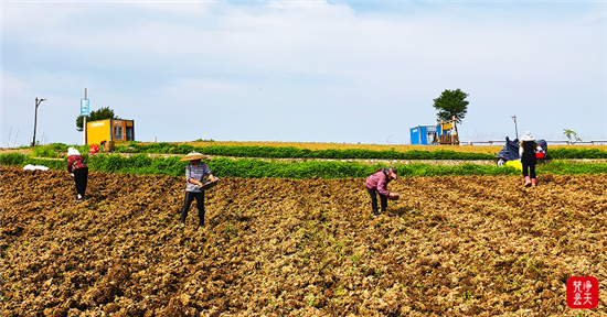 超期待！晚霞、夜市、花海、农耕……21℃龙塘坳不夜城来了