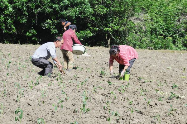 微信图片_2026-04-25_232311_811