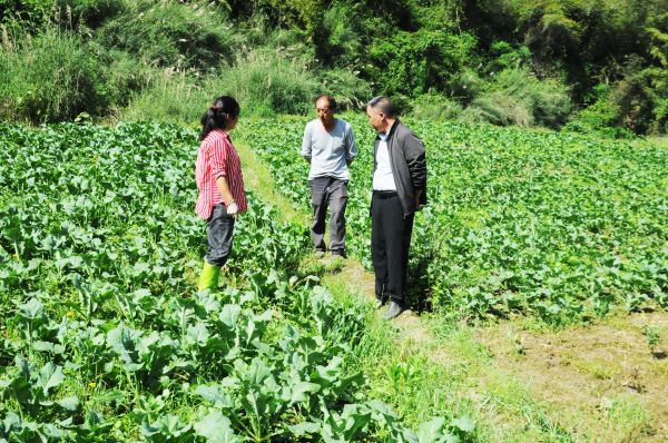 微信图片_2026-04-25_232328_310