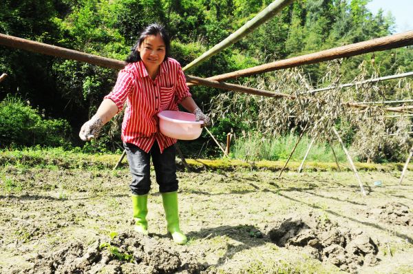 微信图片_2026-04-25_232319_291