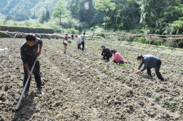 微信图片_2026-04-25_232303_015