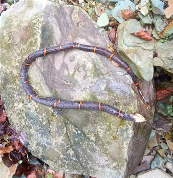 微信图片_2026-04-27_134953_299