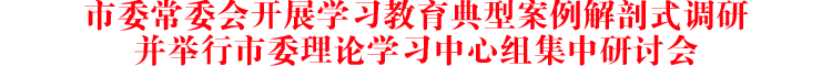 市委常委会开展学习教育典型案例解剖式调研并举行市委理论学习中心组集中研讨会