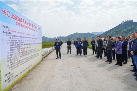 贵州省油菜大面积单产提升现场会在铜仁举办