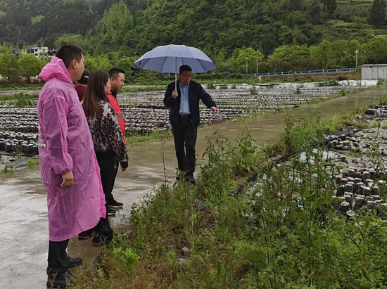 人保财险铜仁印江支公司：积水漫田垄  农险解农忧