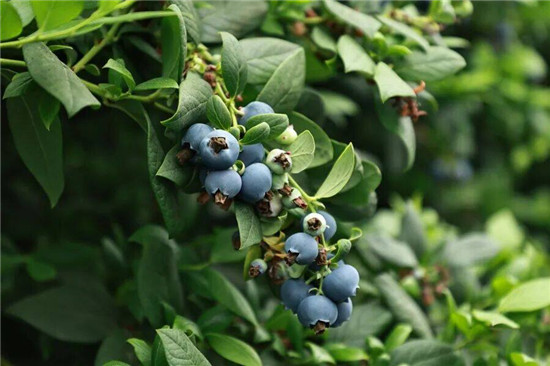 微信图片_2026-04-30_163353_024