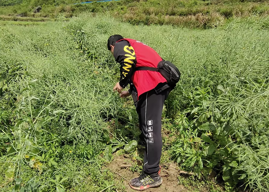 人保财险铜仁分公司：冰雹突袭沿河