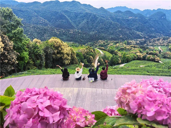 江口新晋宝藏打卡地，治愈系茶园来咯~