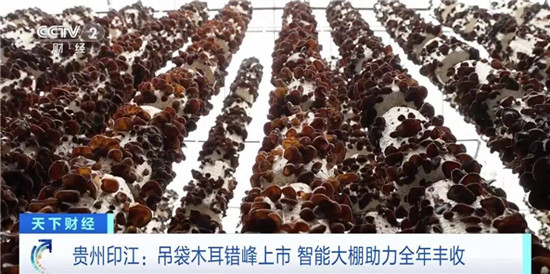 微信图片_2026-05-21_085331_048