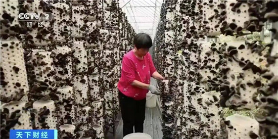 微信图片_2026-05-21_085341_367