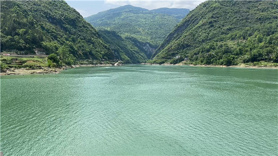 沿河1500平方米人工鱼巢即将投用