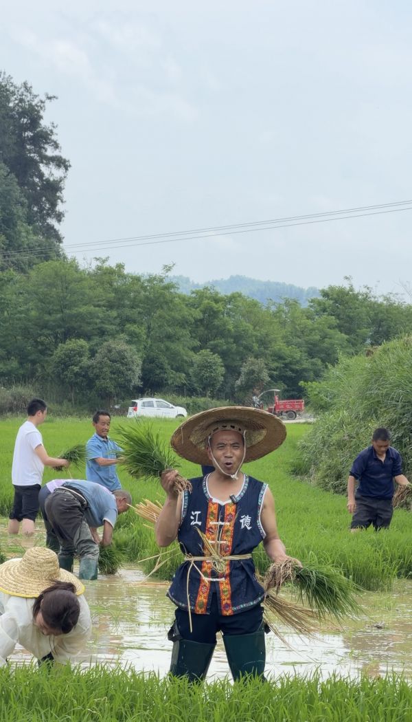山歌唱起来