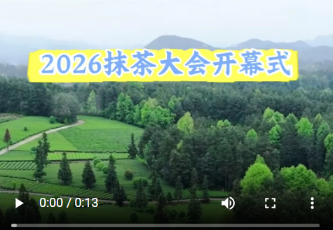 抹茶