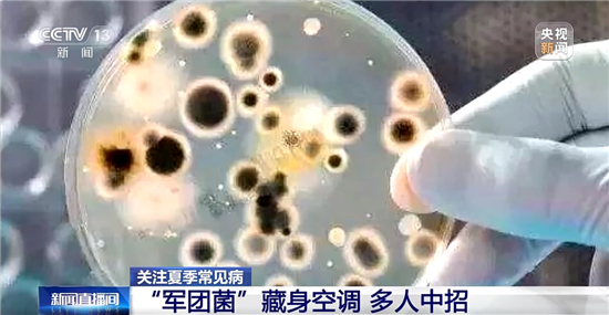 微信图片_2026-05-30_083113_530