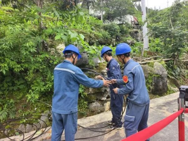 端午节,他们干了件大事