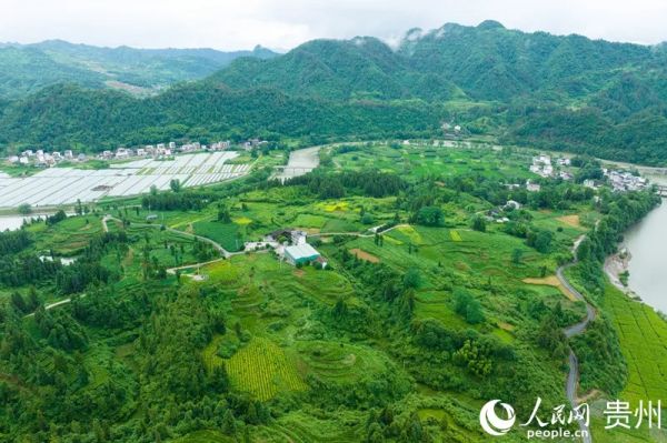 行进中国 | 万物皆可抹 梵净溢茶香 