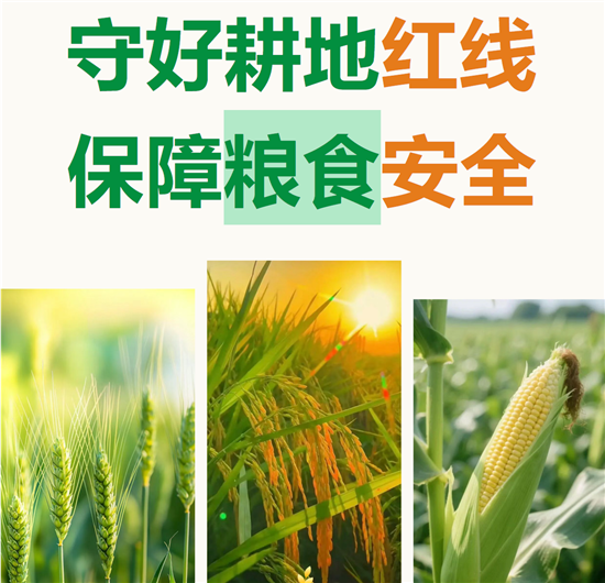 微信图片_20260629095647_158_8