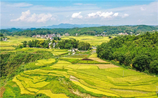 守护良田沃土！铜仁筑牢粮食安全“生命线”