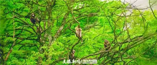 微信图片_20260705174254_224_8