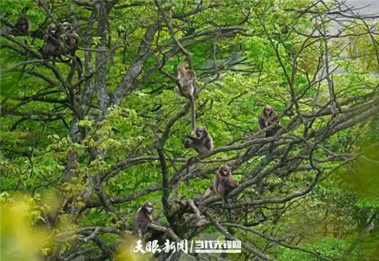 微信图片_20260705174253_223_8