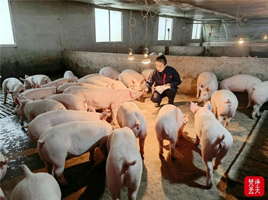 微信图片_2026-07-11_083100_578