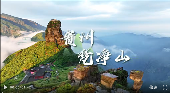 微信图片_20260711094315_281_8