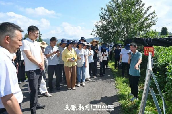 全国茶叶提质增效技术培训在铜仁举办