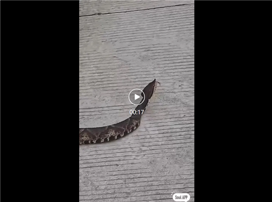 微信图片_20260714112335_298_8
