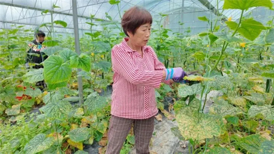 种养双龙头带动！万山山货热销大湾区