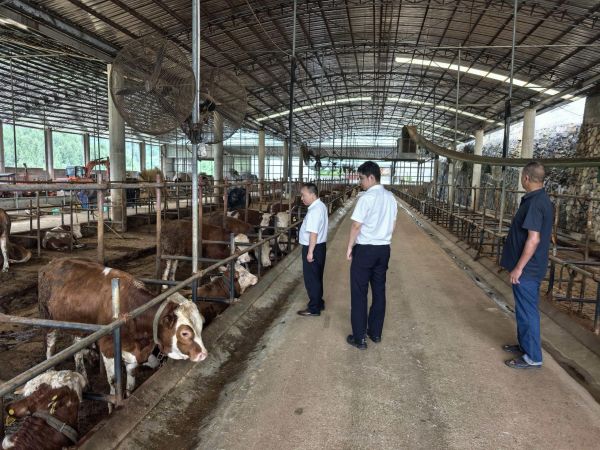 思南农商银行:精准服务靶向发力 普惠金融润泽夏日民生