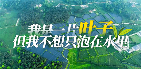 我是一片叶子，但我不想只泡在水里