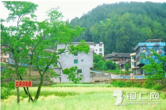 微信图片_20260810122611_508_8