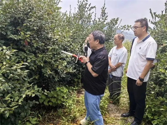 专家送技下乡!玉屏油茶从业者集中“充电”