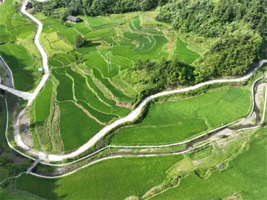 德江:乡镇齐上阵管好夏秋稻禾