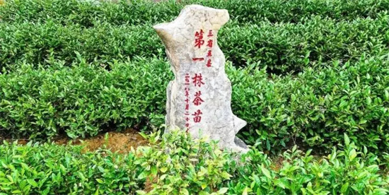 c59b50d3-58f5-4cdf-89c2-e9a558ebcf6a
