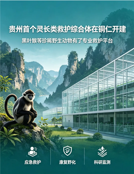 微信图片_20260816120458_539_8