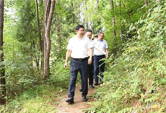 李作勋在沿河自治县调研集中整治工作并开展巡河巡林