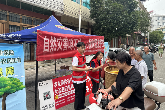 人保财险铜仁思南支公司:政策宣传进乡村 保险护航促振兴