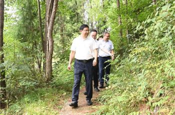 李作勋在沿河自治县调研集中整治工作并开展巡河巡林
