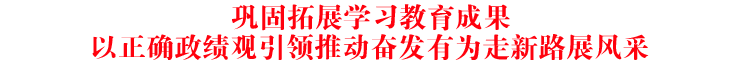 巩固拓展学习教育成果 以正确政绩观引领推动奋发有为走新路展风采