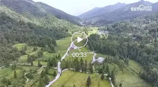 微信图片_20260918121121_723_8