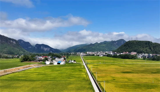 松桃:秋晒绘就好“丰”景