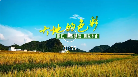 微信图片_20260924090927_760_8