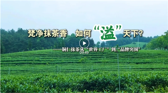 梵净抹茶香 如何“溢”天下？