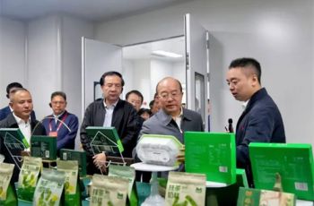 省十四届人大铜仁代表团代表开展2026年集中视察