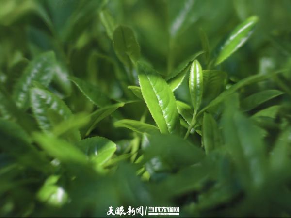 微信图片_2026-10-19_124220_953