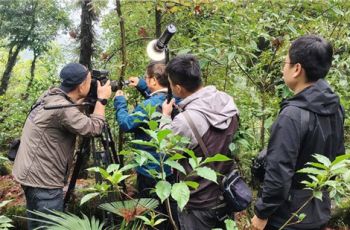 中央广播电视台走进荆角乡铁皮石斛产业基地