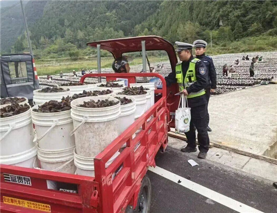 微信图片_2026-10-24_103337_285