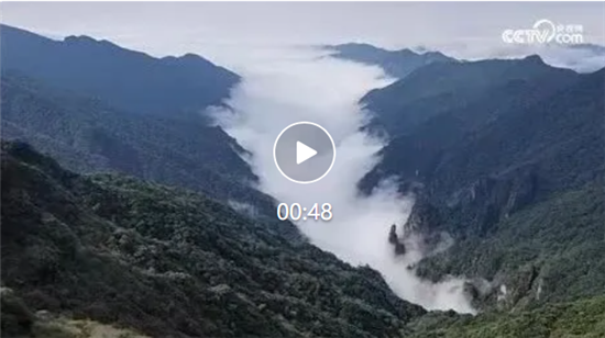 微信图片_20261027100546_955_8